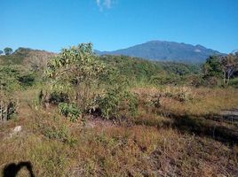  Land for sale in Chiriqui, Potrerillos, Dolega, Chiriqui