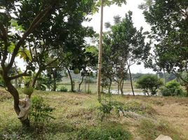 Studio House for sale in Hoa Thach, Quoc Oai, Hoa Thach