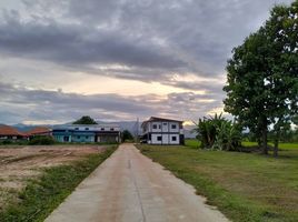  Grundstück zu verkaufen in Phan, Chiang Rai, Mueang Phan, Phan