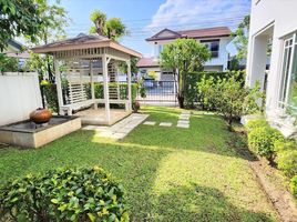 4 Schlafzimmer Haus zu vermieten im Siwalee Choeng Doi, Mae Hia, Mueang Chiang Mai, Chiang Mai, Thailand