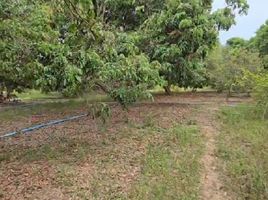  Land for sale in Thung Satok, San Pa Tong, Thung Satok