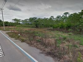  Land for sale in Lamphun, Nakhon Chedi, Pa Sang, Lamphun