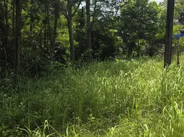  Grundstück zu verkaufen in Mai Khao, Phuket, Mai Khao, Thalang