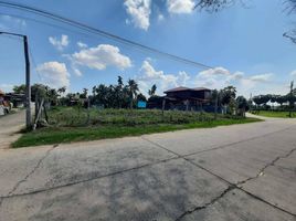  Land for sale in Buri Ram, Lahan Sai, Lahan Sai, Buri Ram