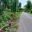  Land for sale in Don Sak Surat Thani, Don Sak, Don Sak
