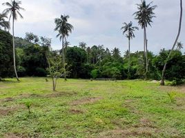  Land for sale in Koh Samui, Na Mueang, Koh Samui