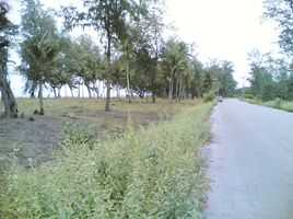  Land for sale in Laem Pho, Yaring, Laem Pho