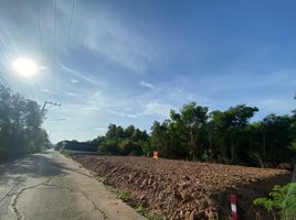  Grundstück zu verkaufen in Khlong Luang, Pathum Thani, Khlong Si