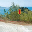  Land for sale in Kathu, Phuket, Kamala, Kathu