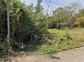  Land for sale in Chomphu, Mueang Lampang, Chomphu