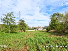  Grundstück zu verkaufen in Pak Chong, Nakhon Ratchasima, Phaya Yen