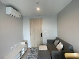 1 Schlafzimmer Appartement zu vermieten im Nue Noble Srinakarin - Lasalle, Samrong Nuea, Mueang Samut Prakan