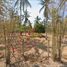 ขายที่ดิน ใน คลองวาฬ, หัวหิน, คลองวาฬ, เมืองประจวบคีรีขันธ์