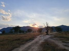  Grundstück zu verkaufen in Pa Daet, Chiang Rai, Rong Chang, Pa Daet