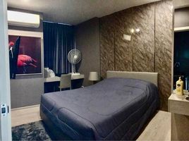 1 Bedroom Apartment for sale at Dcon Prime Rattanathibet-Saima, Sai Ma