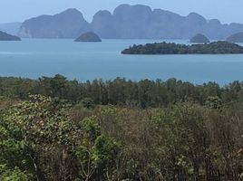  Grundstück zu verkaufen in Ko Yao, Phangnga, Ko Yao Noi