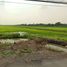  Land for sale in Lam Luk Ka, Pathum Thani, Bueng Kham Phroi, Lam Luk Ka