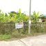  Land for sale in Sam Phran Nakhon Pathom, Sam Phran, Sam Phran