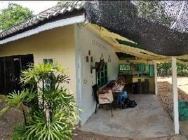 4 Schlafzimmer Haus zu verkaufen in Ban Khwao, Chaiyaphum, Ban Khwao, Ban Khwao, Chaiyaphum