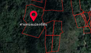 N/A Land for sale in Karon, Phuket 