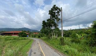 N/A Land for sale in Thep Krasattri, Phuket 