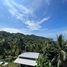  Grundstück zu verkaufen in Koh Phangan, Surat Thani, Koh Phangan, Koh Phangan