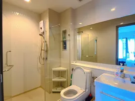 1 Schlafzimmer Wohnung zu vermieten im Life Asoke Hype, Makkasan