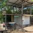 ขายที่ดิน ใน ป่าซาง ลำพูน, มะกอก