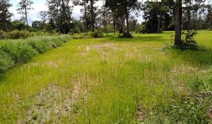 N/A Land for sale in Kut Phia Khom, Khon Kaen 