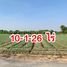  Land for sale in Tha Muang, Kanchanaburi, Wang Sala, Tha Muang