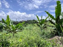  Grundstück zu verkaufen in Bo Rai, Trat, Nong Bon