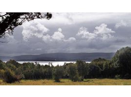  Grundstück zu verkaufen in Chiloe, Los Lagos, Chonchi