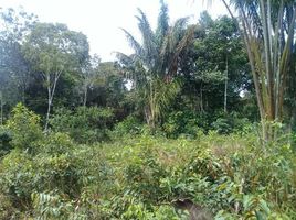  Land for sale in Presidente Figueiredo, Amazonas, Presidente Figueiredo