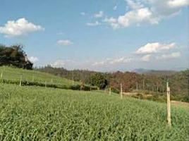  Grundstück zu verkaufen in Pai, Mae Hong Son, Mae Na Toeng, Pai, Mae Hong Son