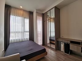 1 Schlafzimmer Appartement zu verkaufen im Knightsbridge Collage Ramkhamhaeng, Hua Mak