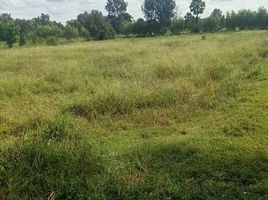  Land for sale in Mek Dam, Phayakkhaphum Phisai, Mek Dam