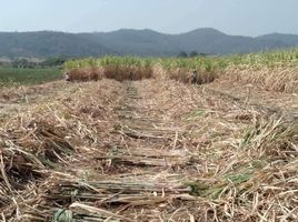  Grundstück zu verkaufen in Khok Charoen, Lop Buri, Khok Charoen, Lop Buri