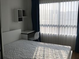 1 Bedroom Condo for rent at Lumpini Park Rama 9 - Ratchada, Bang Kapi, Huai Khwang, Bangkok, Thailand