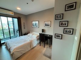 1 Schlafzimmer Appartement zu vermieten im Condolette Midst Rama 9, Huai Khwang, Huai Khwang