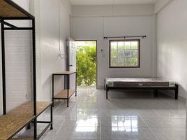 Studio Appartement zu vermieten im Little Bee House, Sateng, Mueang Yala