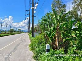  Land for sale in Si Don Chai, Chiang Khong, Si Don Chai