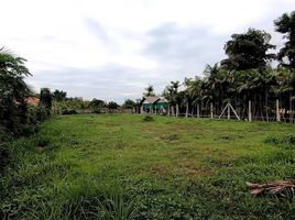  Land for sale in San Sai, Chiang Mai, San Na Meng, San Sai