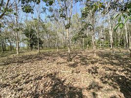  Land for sale in Wiang Pa Pao, Chiang Rai, Wiang, Wiang Pa Pao