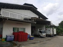 4 Schlafzimmer Warenhaus zu vermieten in Nakhon Pathom, Sala Ya, Phutthamonthon, Nakhon Pathom