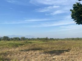  Land for sale in Makham, Chanthaburi, Makham, Makham