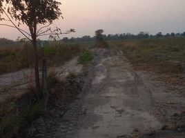  Grundstück zu verkaufen in Doem Bang Nang Buat, Suphan Buri, Hua Na