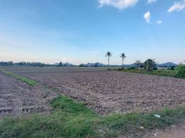  Grundstück zu verkaufen in Pak Tho, Ratchaburi, Don Sai