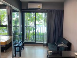 1 Bedroom Apartment for rent at The Parkland Phetkasem 56, Bang Wa