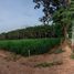  Land for sale in Rayong, Phana Nikhom, Nikhom Phatthana, Rayong