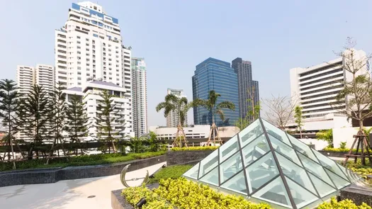 Фото 1 of the Communal Garden Area at Interlux Premier Sukhumvit 13